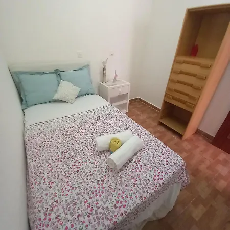 Clavelina Economy Calle Julio Antonio *